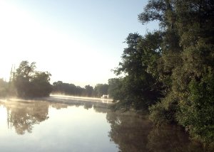 Foto: Morgenneben ber der Sane