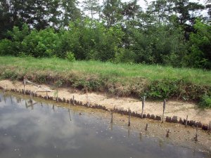 Foto: Uferbefestigung am Canal de Roanne